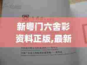 新粤门六舍彩资料正版,最新答案解释落实_XR11.184