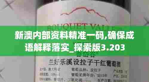 新澳内部资料精准一码,确保成语解释落实_探索版3.203