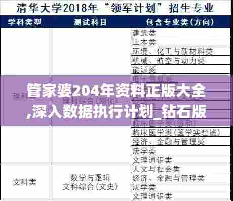 管家婆204年资料正版大全,深入数据执行计划_钻石版11.270