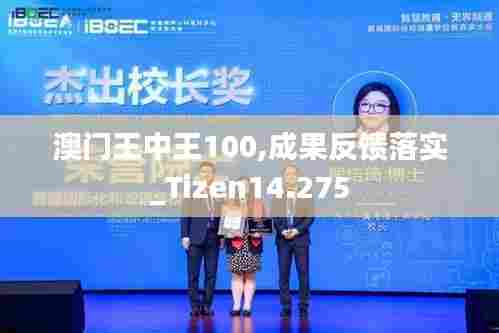 澳门王中王100,成果反馈落实_Tizen14.275