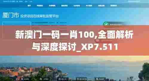 新澳门一码一肖100,全面解析与深度探讨_XP7.511