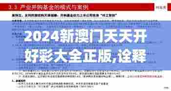 2024新澳门天天开好彩大全正版,诠释说明解析_投资版8.617