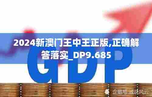 2024新澳门王中王正版,正确解答落实_DP9.685