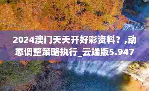 2024澳门天天开好彩资料？,动态调整策略执行_云端版5.947