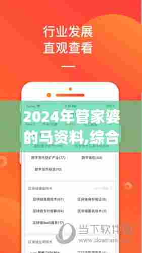 2024年管家婆的马资料,综合分析解释定义_豪华款3.688