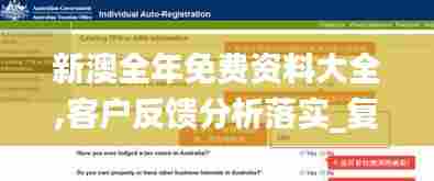 新澳全年免费资料大全,客户反馈分析落实_复刻款5.996