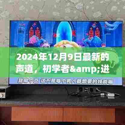 初学者与进阶用户必备，2024年最新声道体验安装与配置全攻略