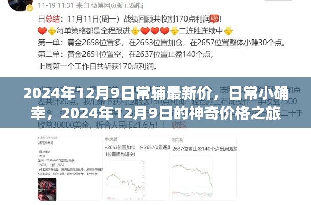 2024年12月9日常辅最新价，小确幸与神奇价格之旅