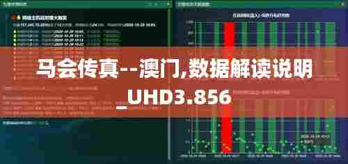 马会传真--澳门,数据解读说明_UHD3.856