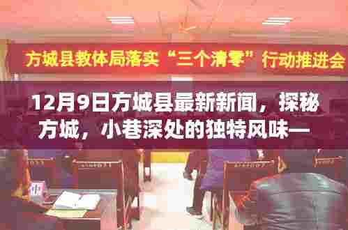 探秘方城,小巷独特风味——最新方城县新闻12月9日