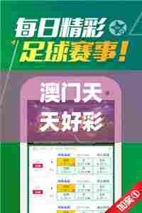 澳门天天好彩,全面解析与深度探讨_OP7.888