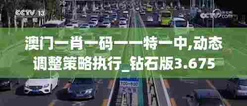 澳门一肖一码一一特一中,动态调整策略执行_钻石版3.675