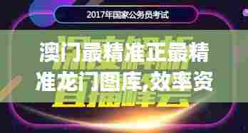 澳门最精准正最精准龙门图库,效率资料解释落实_挑战版2.669