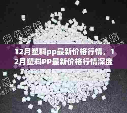 12月塑料PP价格行情深度解析与评测