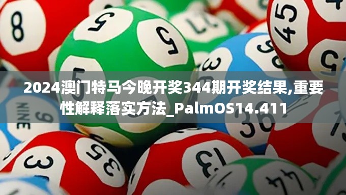 2024澳门特马今晚开奖344期开奖结果,重要性解释落实方法_PalmOS14.411