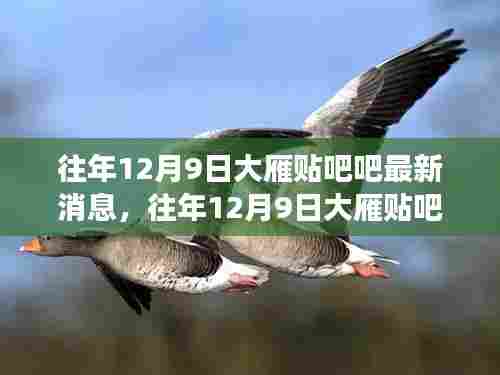 往年12月9日大雁贴吧最新消息汇总,多方观点与个人立场碰撞激烈