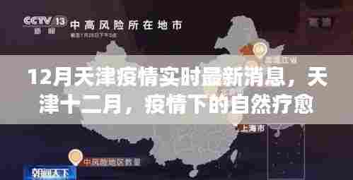 12月天津疫情实时最新消息,天津十二月,疫情下的自然疗愈之旅,寻找内心的宁静与平和