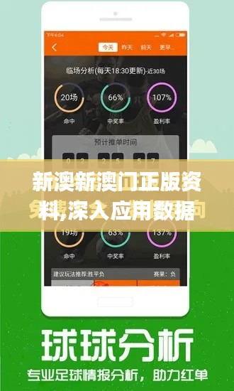 新澳新澳门正版资料,深入应用数据执行_纪念版1.765
