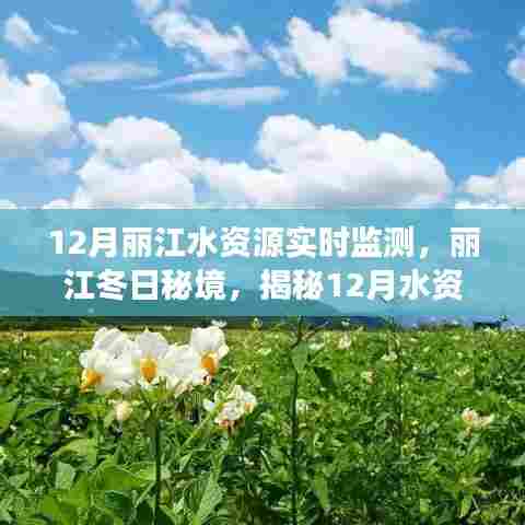 揭秘丽江冬季水资源实时监测背后的故事,冬日秘境的守护与关注
