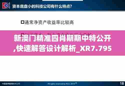 新澳门精准四肖期期中特公开,快速解答设计解析_XR7.795