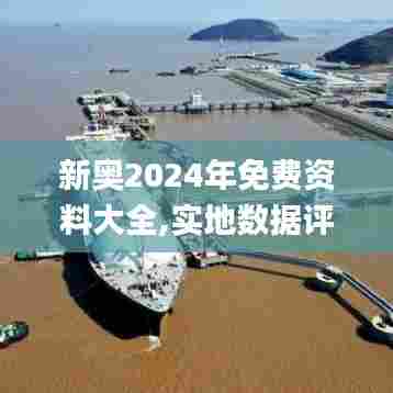 新奥2024年免费资料大全,实地数据评估解析_苹果2.767