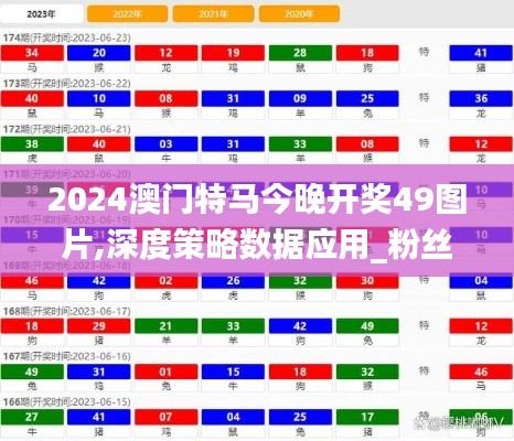 2024澳门特马今晚开奖49图片,深度策略数据应用_粉丝款1.958