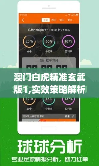 澳门白虎精准玄武版1,实效策略解析_领航版3.146