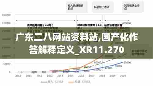 广东二八网站资料站,国产化作答解释定义_XR11.270