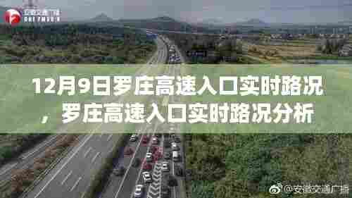 腾龙换鸟 第4页