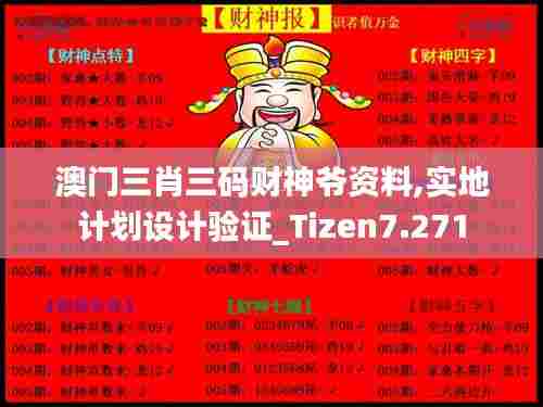 澳门三肖三码财神爷资料,实地计划设计验证_Tizen7.271