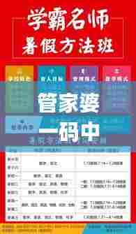 管家婆一码中奖,数据整合执行策略_豪华款1.767