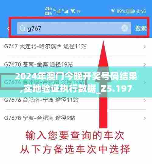 2024年澳门今晚开奖号码结果,实地验证执行数据_Z5.197