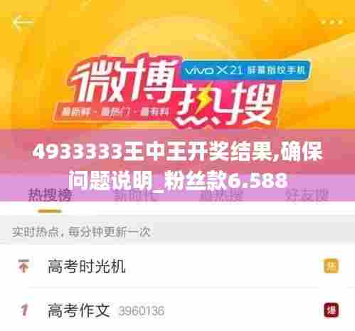 4933333王中王开奖结果,确保问题说明_粉丝款6.588