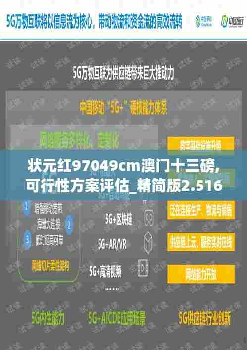 状元红97049cm澳门十三磅,可行性方案评估_精简版2.516