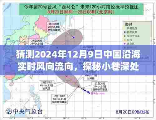 探秘小巷秘境,预测中国沿海风向流向与独特风味小店揭秘