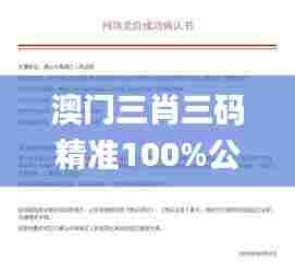 澳门三肖三码精准100%公司认证,现状评估解析说明_专业款8.219