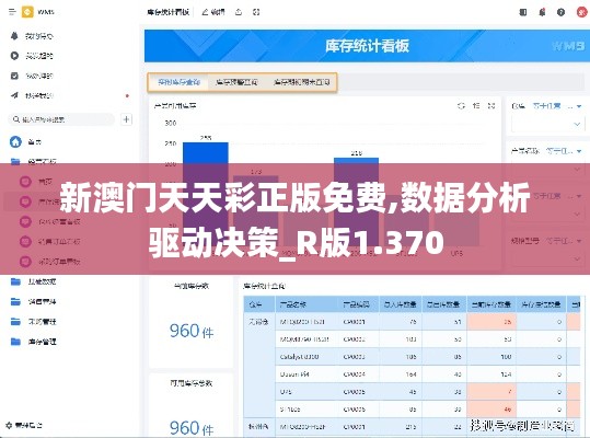 新澳门天天彩正版免费,数据分析驱动决策_R版1.370