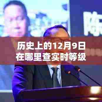 揭秘历史上的12月9日，智能科技实时等级查询的魅力体验与时空穿梭新纪元探索
