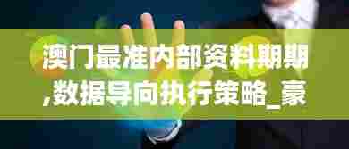 澳门最准内部资料期期,数据导向执行策略_豪华款10.911