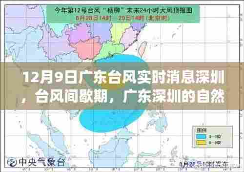 广东台风间歇期的深圳自然探索之旅，寻找心灵的宁静港湾在台风实时消息中展开