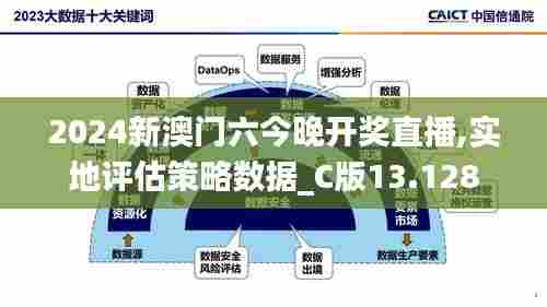2024新澳门六今晚开奖直播,实地评估策略数据_C版13.128