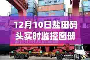 盐田码头12月10日实时监控图册全景透视之旅