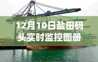 盐田码头12月10日实时监控图册全景透视之旅