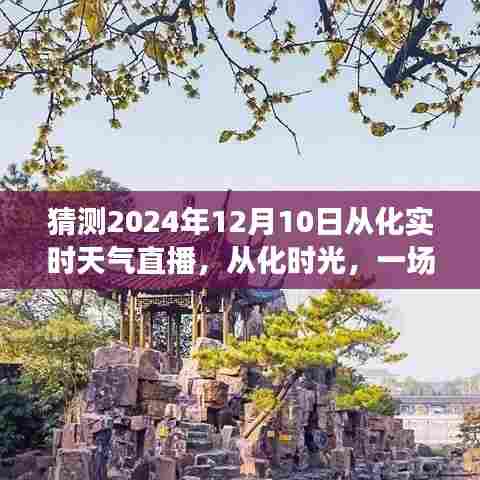 从化时光,天气奇幻漂流之旅——2024年12月10日实时天气直播猜想