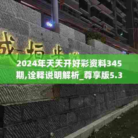 2024年天天开好彩资料345期,诠释说明解析_尊享版5.312