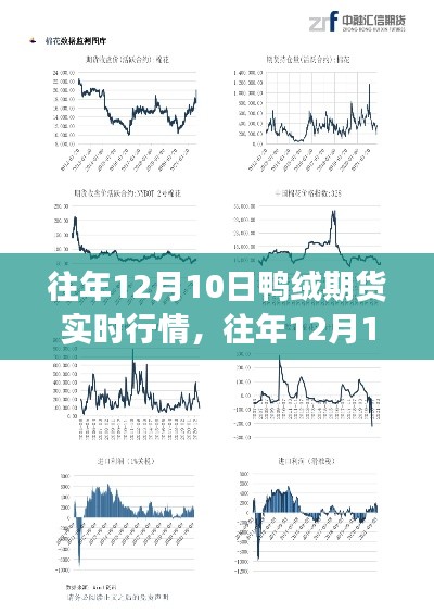 深入解读与预测,往年12月10日鸭绒期货实时行情及分析展望