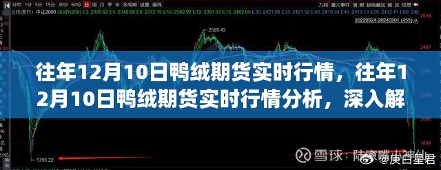 深入解读与预测,往年12月10日鸭绒期货实时行情及分析展望