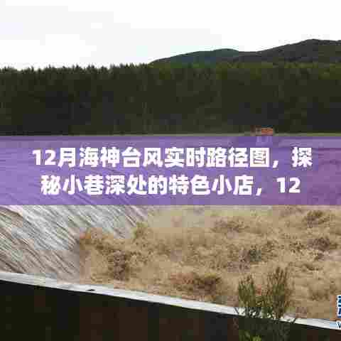 林下风气 第3页