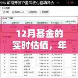 年终理财新选择，深度评测12月基金实时估值产品，助你把握投资机遇！