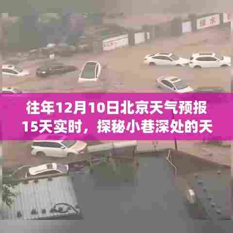 飞禽走兽 第4页